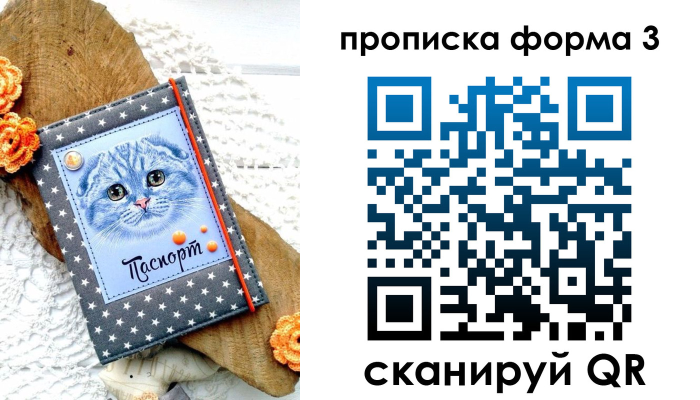 прописка поиск в Козловке